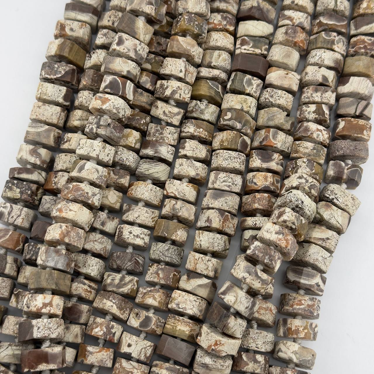 Оканемелый коралл (фоссил) размер 7*14мм натуральный камень